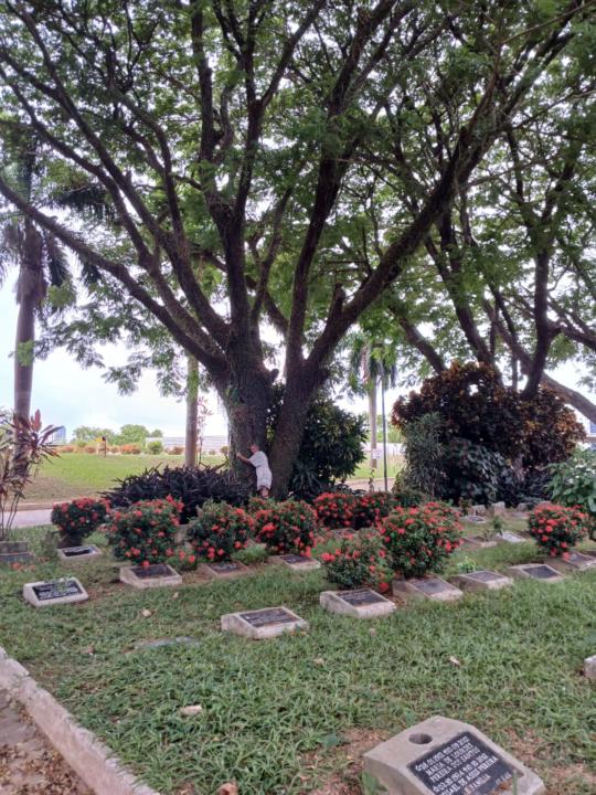 When Love Changes Form: Honoring Life Beyond Death
