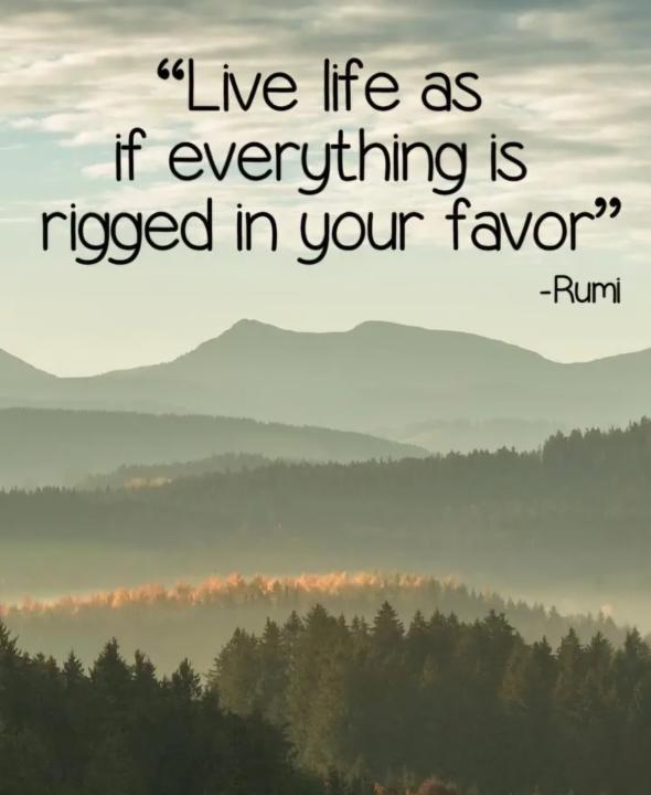 Pursue your wildest dreams. They are yours to get it.