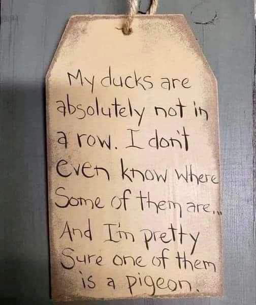This made me laugh! Hope it brings a smile on your face too!