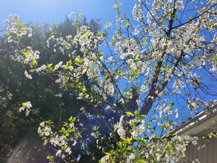 Getting energy from the nature