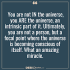 A Wednesday Wisdom