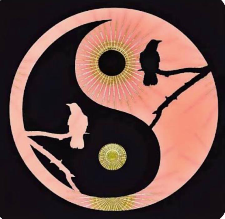 Masculine Feminine Balance