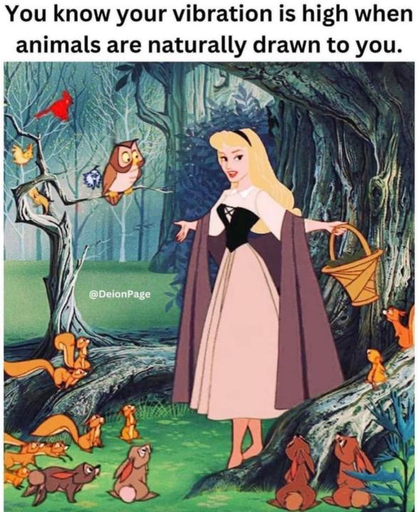 When animals...