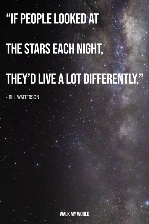We are blessed to be part of the creation.  Just live accordingly. 