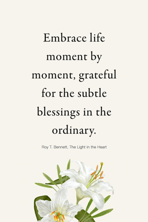 Embrace Life❤️🙌🏼