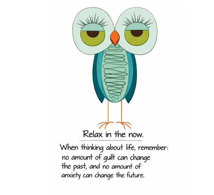 When Your Nervous System Finally Gets the Memo 🦉✨