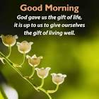 A Spiritual Thought For Today