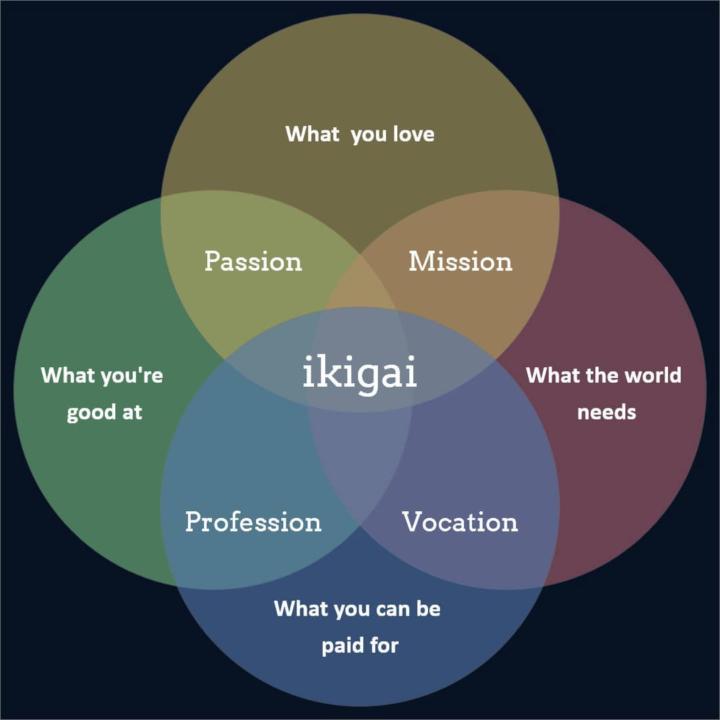 Dark Side of IKIGAI: What No One Tells You About Finding Your Purpose
