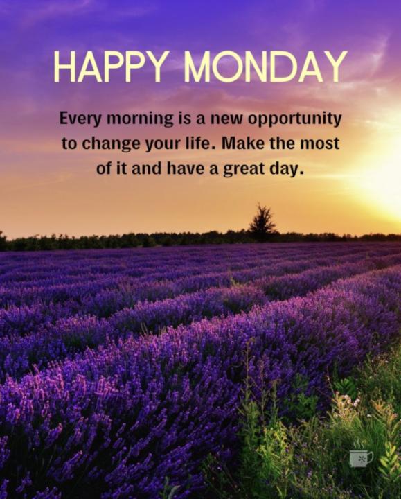 Happy Monday!