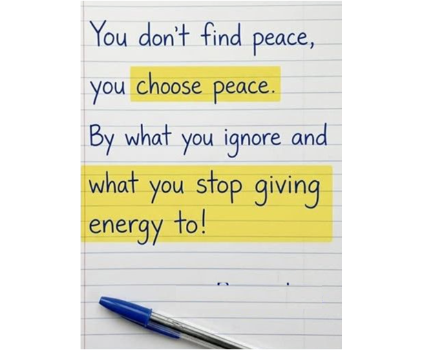 Peace: The Expensive Skill of Not Feeding Nonsense ✨😄