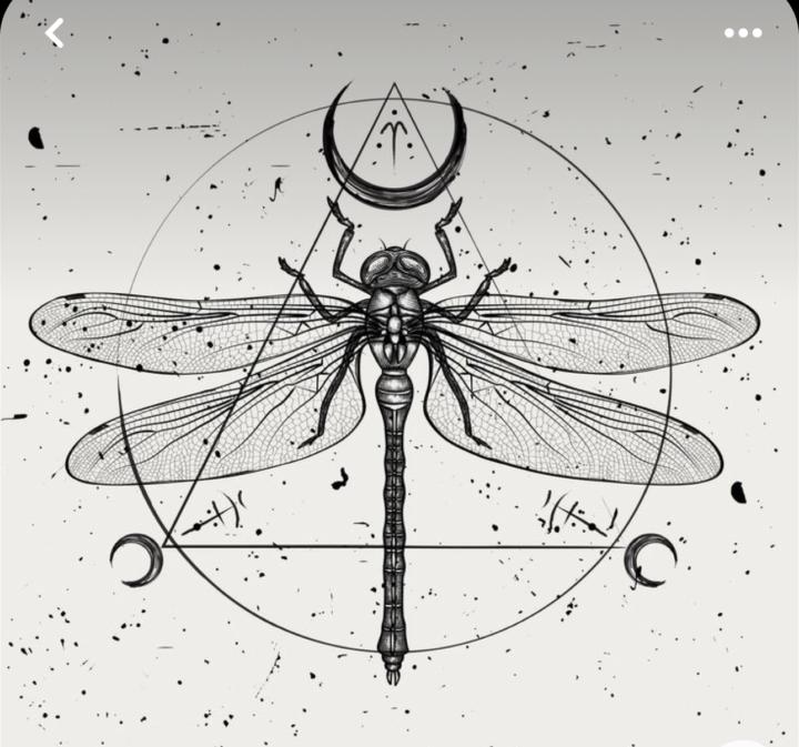 What’s the most powerful metaphysical symbol or metaphor you’ve heard/seen? 