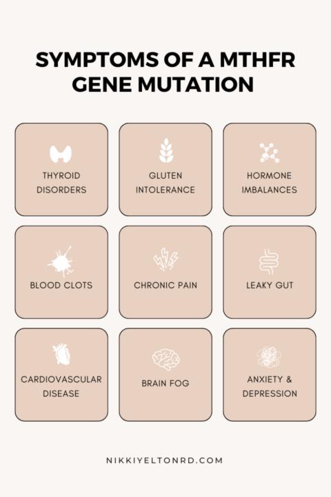 Have you ever heard of the MTHFR gene variation? 
