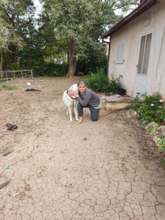 רויטל אינדק