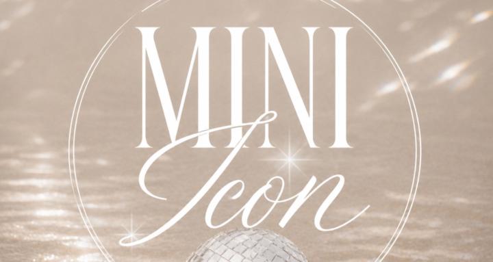 MINI ICON