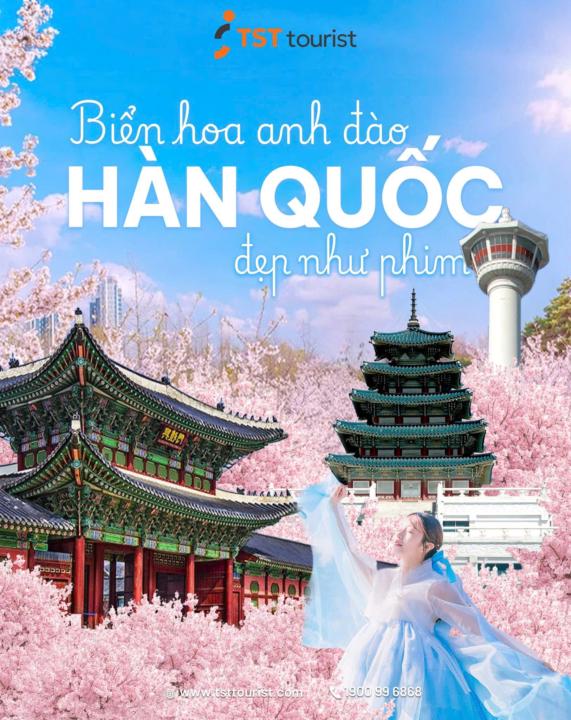 CHẠM VÀO MÙA HOA ĐÀO ĐẸP HƠN MỌI THƯỚC PHIM HÀN