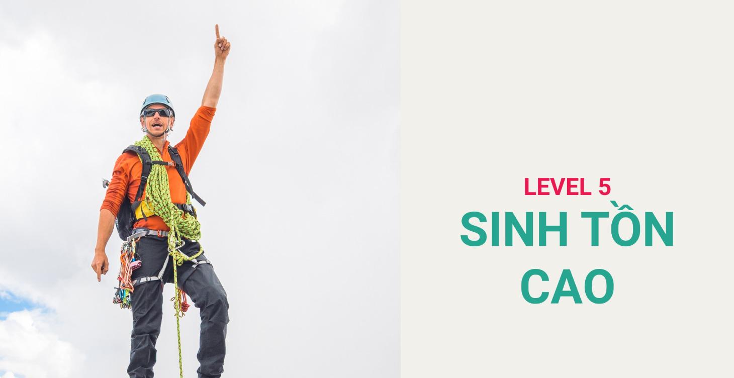 LEVEL 5: SINH TỒN CAO