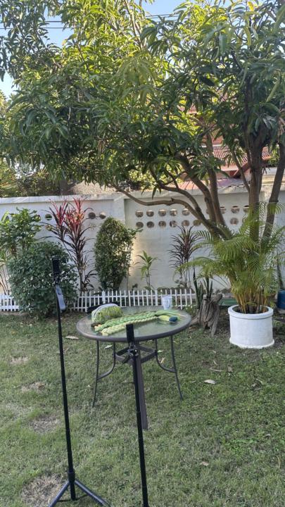 New Course is coming 🫶🏻