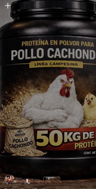 Andoni Herrera merino