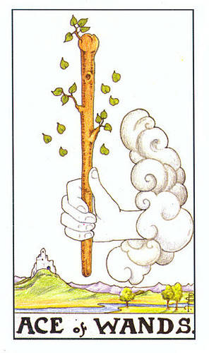 塔羅師不會告訴你的秘密，權杖1