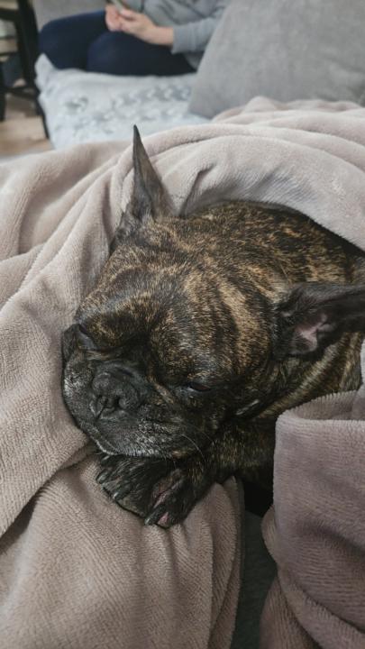 Francisco Javier Gutierrez Gonzalez