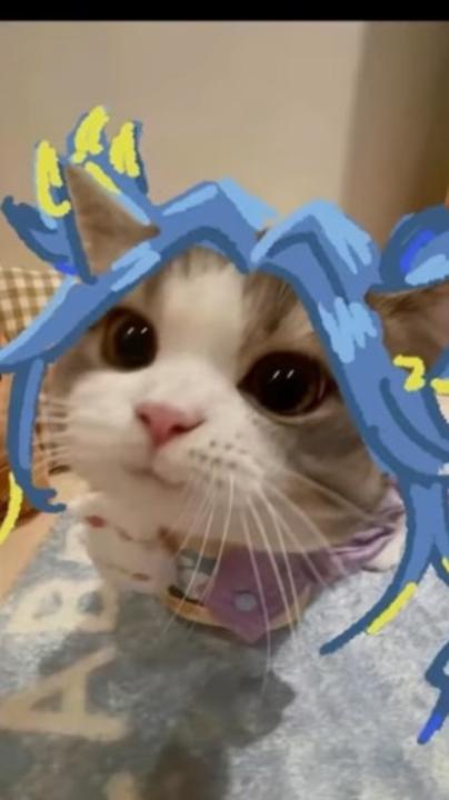 Neocat Gd
