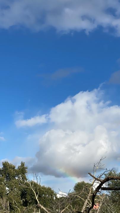 María José Fernández Gómez