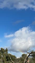 María José Fernández Gómez