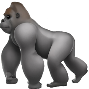 Nick Arce introduction 