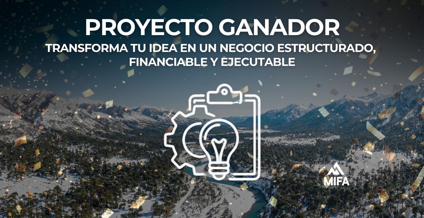 PROYECTO GANADOR