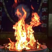 Ng cheng lan Narayani