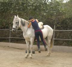 Ann-Kathrin Schäfer