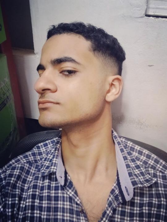 Hamdy Eagle
