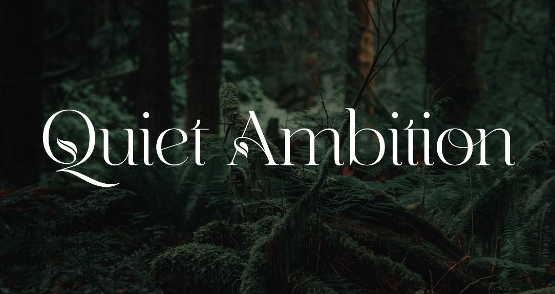 Meet Anna Faris’s 12-Year-Old Son: A Glimpse into Resilience, Education, and Quiet Ambition