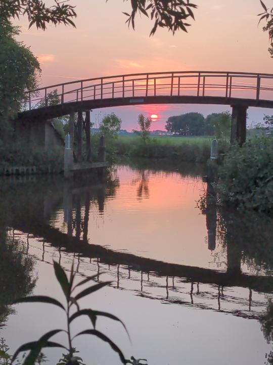 Yolande de Barbanson-Simonis