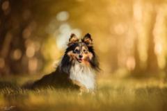 Follenfant Isaline