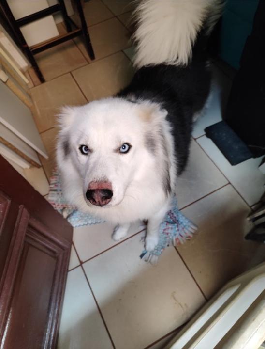 Ramiro Figueroa Cruz