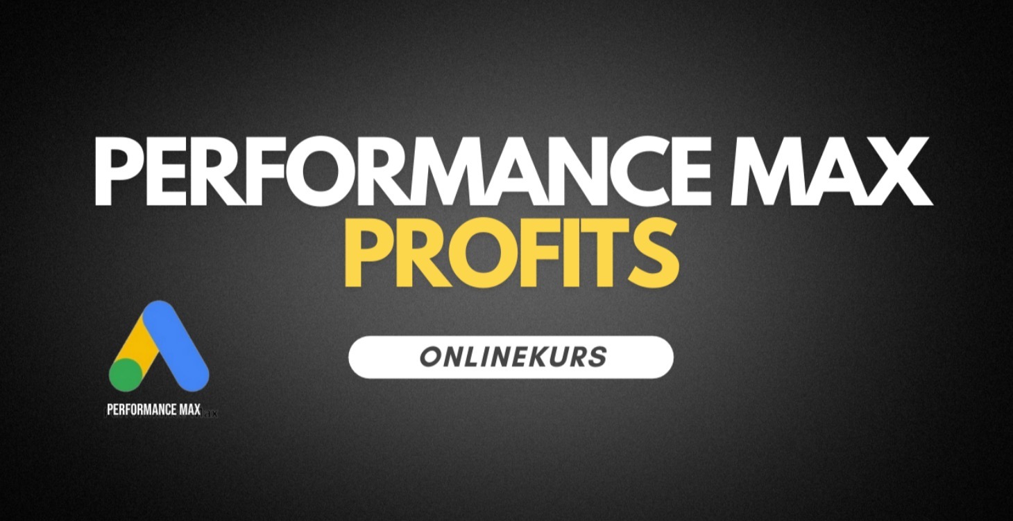 Performance Max Profits💰