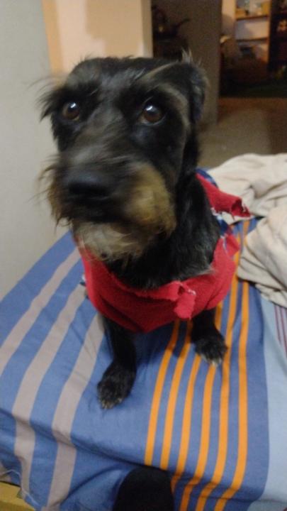 Angelo Jair Taype Yacolca