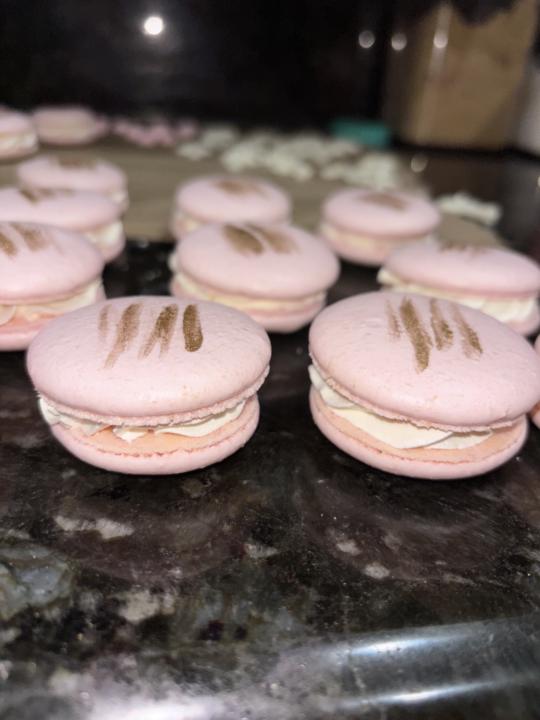 My macarons I have made 