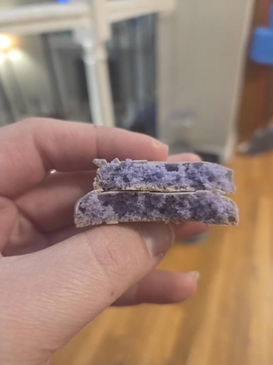 I literally might cry 🥹