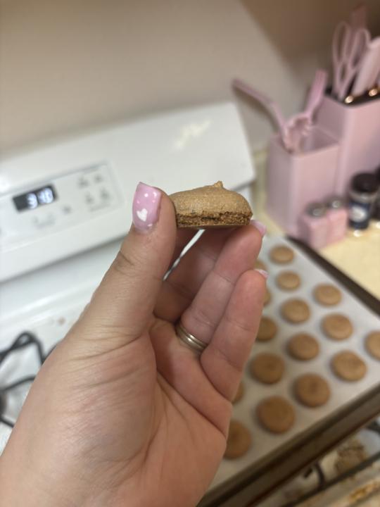 First try of this recipe 