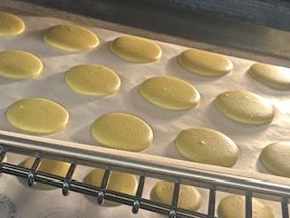 Lemon Zest Shells (oven drying) 