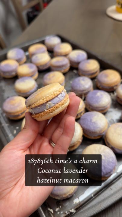 Coconut Lavender w/ Hazelnut filling Macarons