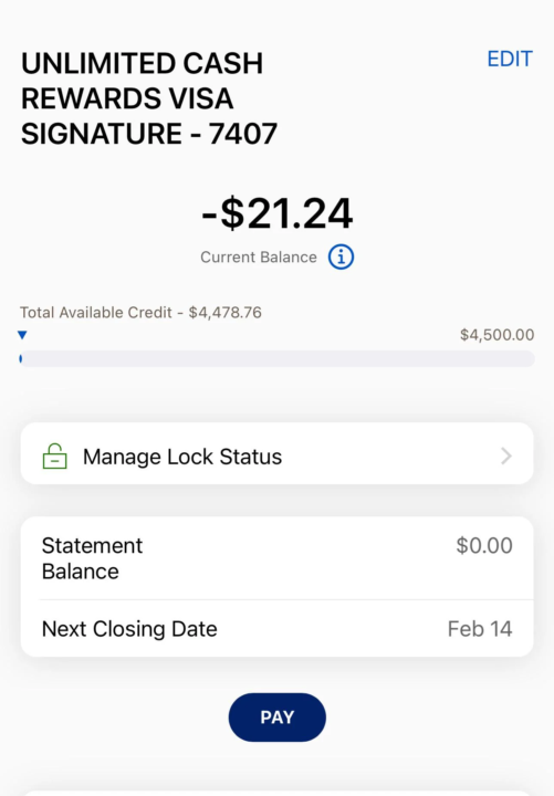 -21.24 Negative Bank Account