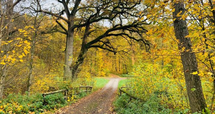 Kindred Earth Healing Center