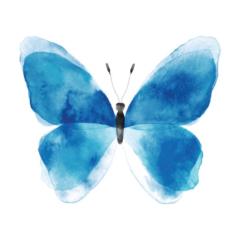 Mariposa Yaneth