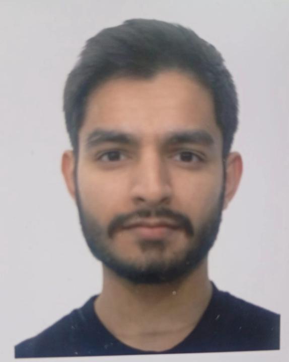 Muhammad Aneeq Babar Ghumman