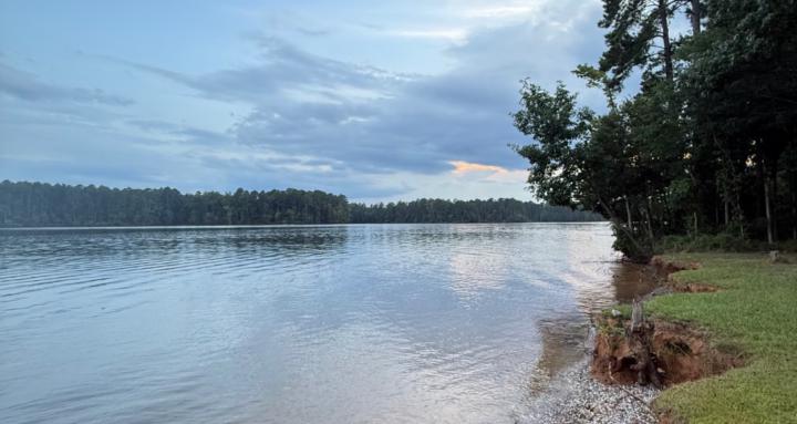 M&M Fishing Tips & Catches