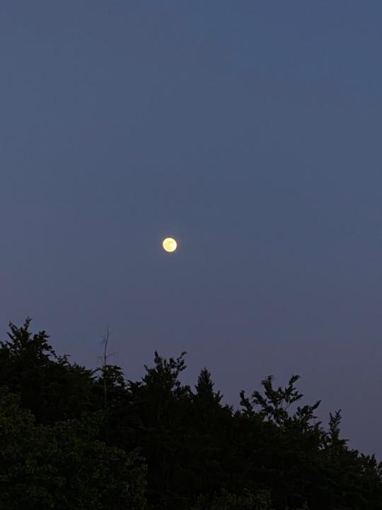 Валерия Заболотна