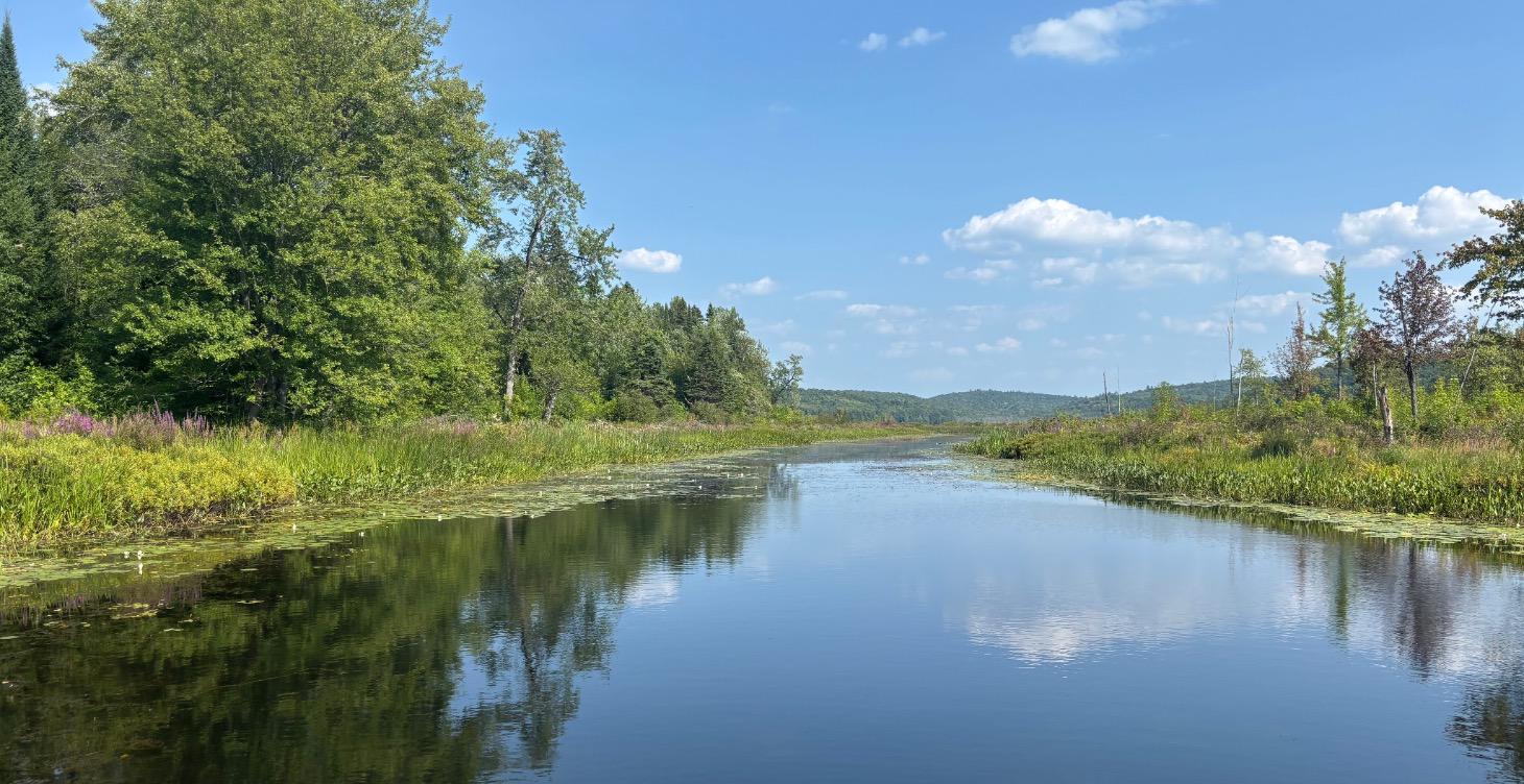 An Archetypal Study of Nature Weekend